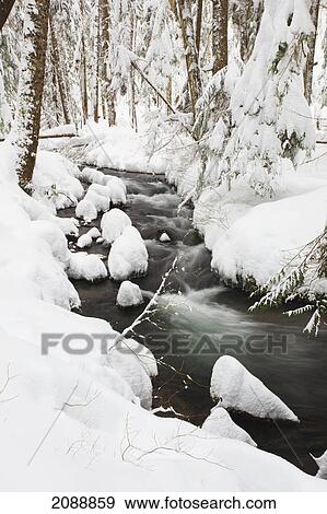 Stock Photo - Winter snow along still creek in mount hood national forest; oregon, united states of america. Fotosearch