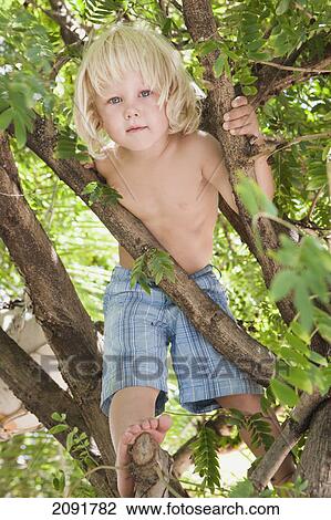 Young boy climbing a tree; gold coast, queensland, australia View Large Photo Image Stock Image - Young boy climbing a tree; gold coast, queensland, australia. Fotosearch