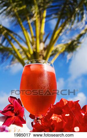A Bright Red Tropical Cocktail Garnished With Flowers In Outdoor Setting. View Large Photo Image Stock Photo - A Bright Red Tropical Cocktail Garnished With Flowers In Outdoor Setting.. Fotosearch