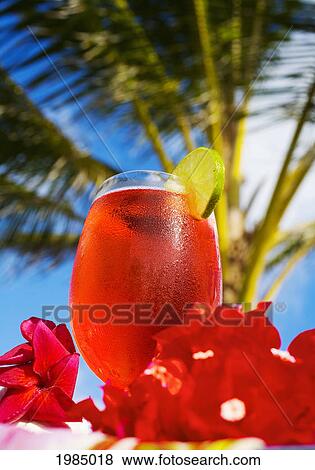 A Bright Red Tropical Cocktail Garnished With Flowers In Outdoor Setting. View Large Photo Image Stock Photo - A Bright Red Tropical Cocktail Garnished With Flowers In Outdoor Setting.. Fotosearch