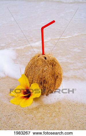 Stock Photo - A Coconut Drink With Straw Sticking Out And Flowers On A Tropical Beach.. Fotosearch