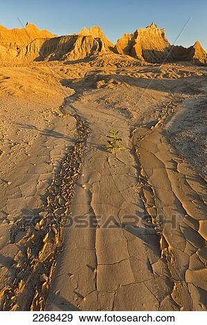 Stock Photo - A dry stream bed leads into distance towards the eroded formations in badlands national park; south dakota united states of america. Fotosearch