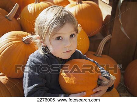 Stock Photograph - A little boy holds one of many pumpkins in a pile; british columbia canada. Fotosearch