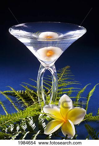 Picture - A Lychee Martini On A Blue Background With Plumeria And Fern.. Fotosearch