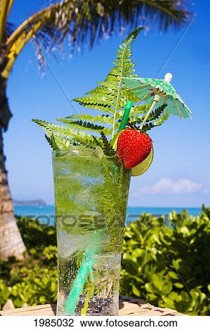 A Tropical Cocktail Garnished With Fruit And Green Fern Leaves In An Outdoor Setting. View Large Photo Image Stock Image - A Tropical Cocktail Garnished With Fruit And Green Fern Leaves In An Outdoor Setting.. Fotosearch