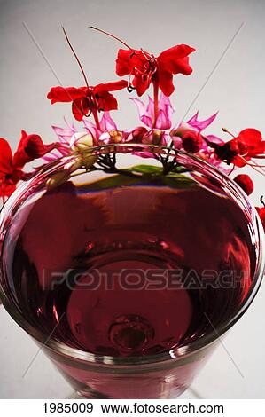 A Tropical Cocktail Garnished With Flowers. View Large Photo Image Stock Photo - A Tropical Cocktail Garnished With Flowers.. Fotosearch