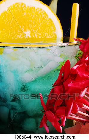 A Tropical Drink Garnished With Flowers And Fruit. View Large Photo Image Picture - A Tropical Drink Garnished With Flowers And Fruit.. Fotosearch