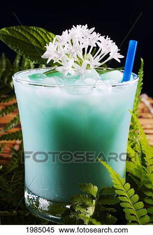 Stock Photography - A Tropical Drink Garnished With Flowers.. Fotosearch
