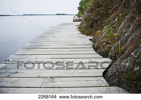 Boardwalk along a lake shoreline; kenora ontario canada View Large Photo Image Picture - Boardwalk along a lake shoreline; kenora ontario canada. Fotosearch