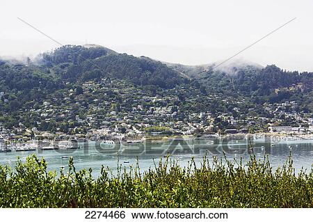 Stock Photograph - Boats mooring in a busy harbour; hawaii united states of america. Fotosearch