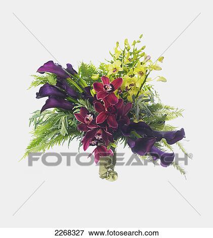 Bouquet of flowers View Large Photo Image Stock Photo - Bouquet of flowers. Fotosearch