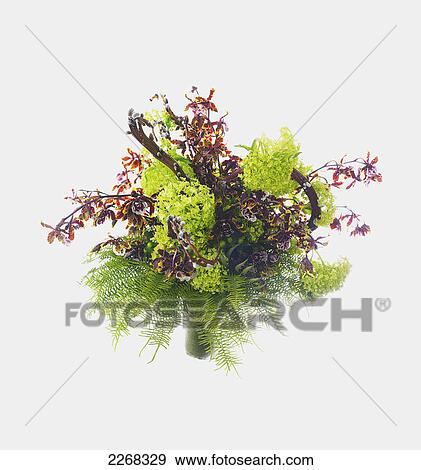 Bouquet of flowers View Large Photo Image Stock Photo - Bouquet of flowers. Fotosearch
