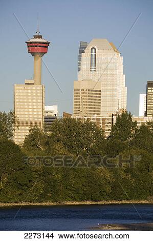 Calgary tower along river with buildings framed by trees and blue sky; calgary alberta canada View Large Photo Image Picture - Calgary tower along river with buildings framed by trees and blue sky; calgary alberta canada. Fotosearch