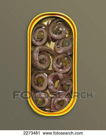 Can of seafood View Large Photo Image Stock Image - Can of seafood. Fotosearch