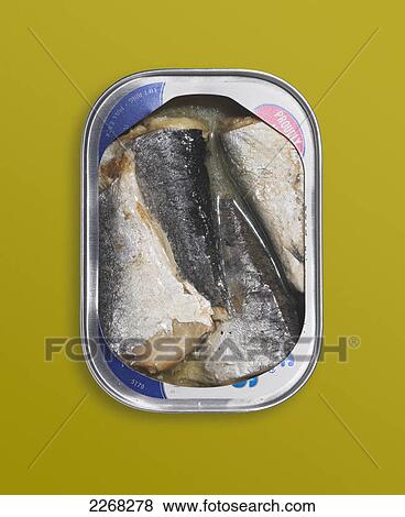 Stock Photo - Canned herring on a yellow background. Fotosearch