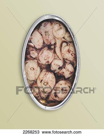 Canned octopus View Large Photo Image Stock Image - Canned octopus. Fotosearch