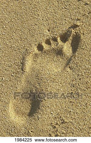 Stock Photography - Close-Up Of A Footprint In The Sand.. Fotosearch