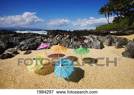 Colorful Cocktail Umbrellas Stuck In The Sand Of A Tropical Beach. View Large Photo Image Stock Photo - Colorful Cocktail Umbrellas Stuck In The Sand Of A Tropical Beach.. Fotosearch