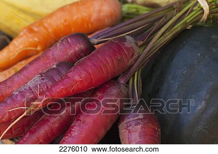 Heritage carrots and organic vegetables for healthy eating; british columbia canada View Large Photo Image Stock Image - Heritage carrots and organic vegetables for healthy eating; british columbia canada. Fotosearch