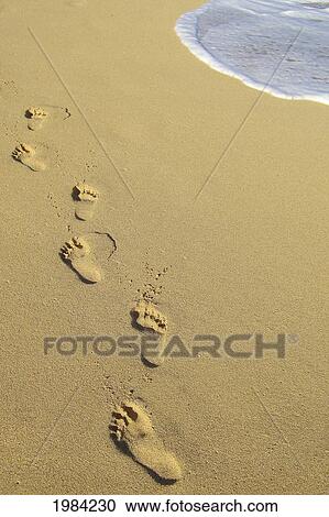 Line Of Footprints In The Sand. View Large Photo Image Stock Image - Line Of Footprints In The Sand.. Fotosearch