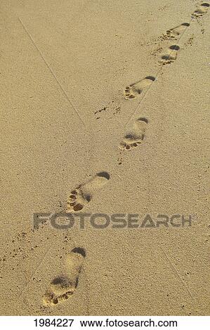 Line Of Footprints In The Sand. View Large Photo Image Stock Photo - Line Of Footprints In The Sand.. Fotosearch