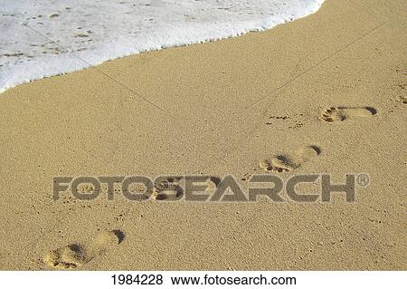 Line Of Footprints In The Sand. View Large Photo Image Stock Photo - Line Of Footprints In The Sand.. Fotosearch