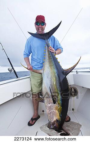 Man holding a fresh caught yellowfin tuna; panama View Large Photo Image Picture - Man holding a fresh caught yellowfin tuna; panama. Fotosearch