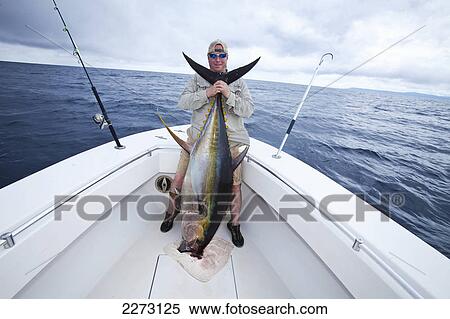 Man holding a fresh caught yellowfin tuna; panama View Large Photo Image Stock Photography - Man holding a fresh caught yellowfin tuna; panama. Fotosearch