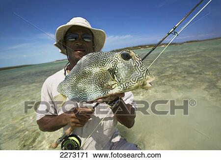 Stock Image - Man holding boxfish (ostraciidae) and fishing rod; bahamas. Fotosearch