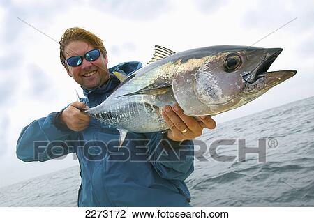 Man holding fresh caught bluefin tuna; massachusetts united states of america View Large Photo Image Stock Image - Man holding fresh caught bluefin tuna; massachusetts united states of america. Fotosearch