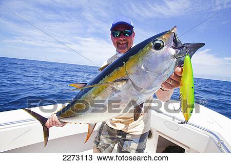 Man holding just caught yellowfin; panama View Large Photo Image Stock Image - Man holding just caught yellowfin; panama. Fotosearch
