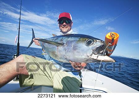 Man holds a fresh caught yellowfin tuna; panama View Large Photo Image Stock Image - Man holds a fresh caught yellowfin tuna; panama. Fotosearch