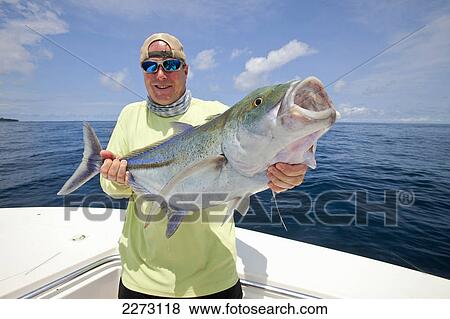 Stock Photo - Man holds fresh caught jack fish; panama. Fotosearch
