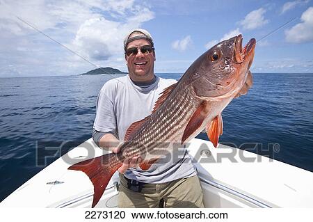 Man holds fresh caught mullet snapper; panama View Large Photo Image Stock Image - Man holds fresh caught mullet snapper; panama. Fotosearch