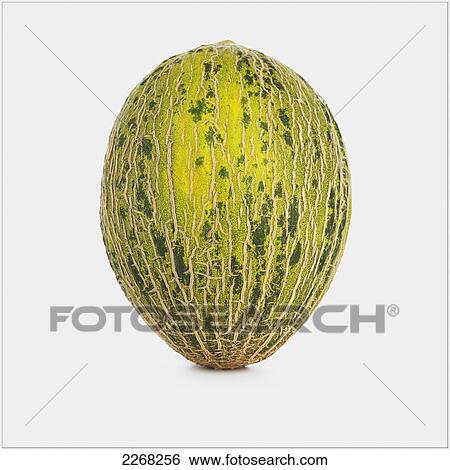 Stock Photograph - Melon on a white background. Fotosearch