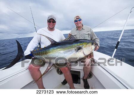 Men holding fresh caught yellowfin tuna; panama View Large Photo Image Stock Image - Men holding fresh caught yellowfin tuna; panama. Fotosearch