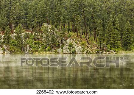 Mist rises from the water of an unnamed lake with reflections of trees seen in it; black hills region south dakota united states of america View Large Photo Image Stock Image - Mist rises from the water of an unnamed lake with reflections of trees seen in it; black hills region south dakota united states of america. Fotosearch
