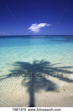 Stock Photo - Palm Tree Shadow Cast Onto Turquoise Water Of A Beautiful Tropical Lagoon.. Fotosearch