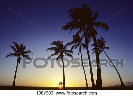 Stock Image - Palm Trees At Sunset, Couple Sit On A Bench Watching.. Fotosearch