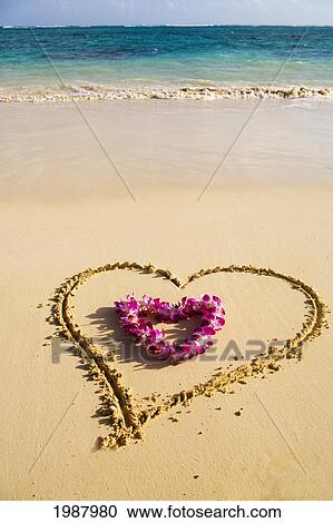 Stock Image - Picture Of A Heart Drawn In The Sand On A Tropical Beach, Orchid Lei Shaped Like A Heart Inside Of Drawing. Fotosearch