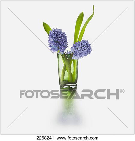 Stock Image - Purple flowers in a glass vase. Fotosearch