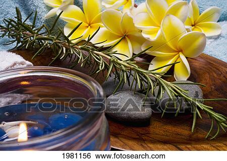 Spa Elements, Candle, Flowers, Grey Stones And A Sprig Of Rosemary. View Large Photo Image Stock Photograph - Spa Elements, Candle, Flowers, Grey Stones And A Sprig Of Rosemary.. Fotosearch