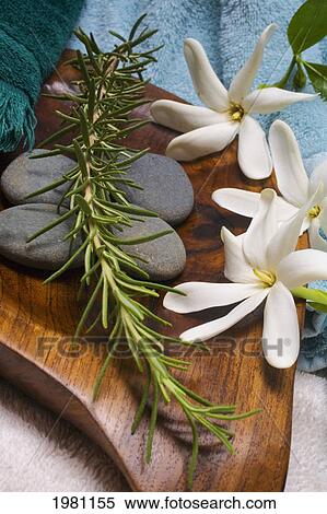 Stock Photography - Spa Elements, Flowers, Grey Stones And A Sprig Of Rosemary Ona Wooden Platter With Towels Surrounding.. Fotosearch