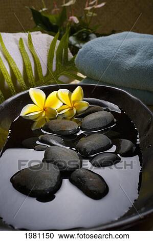 Stock Image - Spa Elements, Stones In Water In A Black Bowl With Plumeria Flowers, Towels And Plants In Background.. Fotosearch