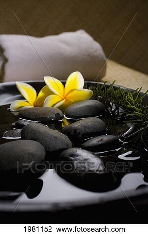 Spa Elements, Stones In Water In A Black Bowl With Plumeria And Rosemary, Towel In Background. View Large Photo Image Stock Image - Spa Elements, Stones In Water In A Black Bowl With Plumeria And Rosemary, Towel In Background.. Fotosearch