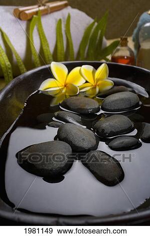 Stock Photo - Spa Elements, Stones In Water In A Black Bowl With Plumeria Flowers, Towels, Plants And Bath Products In Background.. Fotosearch