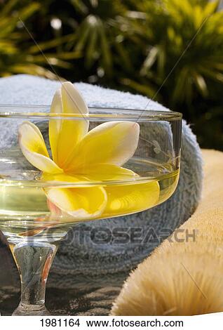 Picture - Spa Elements, Yellow Plumeria Floating In Glass, With Loofah And Towel.. Fotosearch