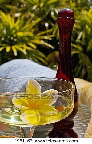 Spa Elements, Yellow Plumeria Floating In Glass, With Glass Bottle, Loofah And Towel. View Large Photo Image Stock Image - Spa Elements, Yellow Plumeria Floating In Glass, With Glass Bottle, Loofah And Towel.. Fotosearch