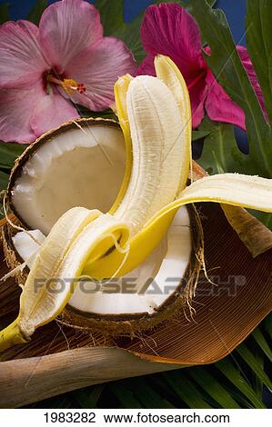 Stock Image - Studio Shot Of A Cracked Coconut And A Peeled Banana.. Fotosearch