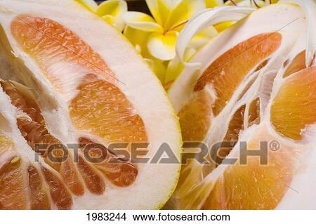 Studio Shot Of A Grapefruit Halves Close-Up. View Large Photo Image Picture - Studio Shot Of A Grapefruit Halves Close-Up.. Fotosearch